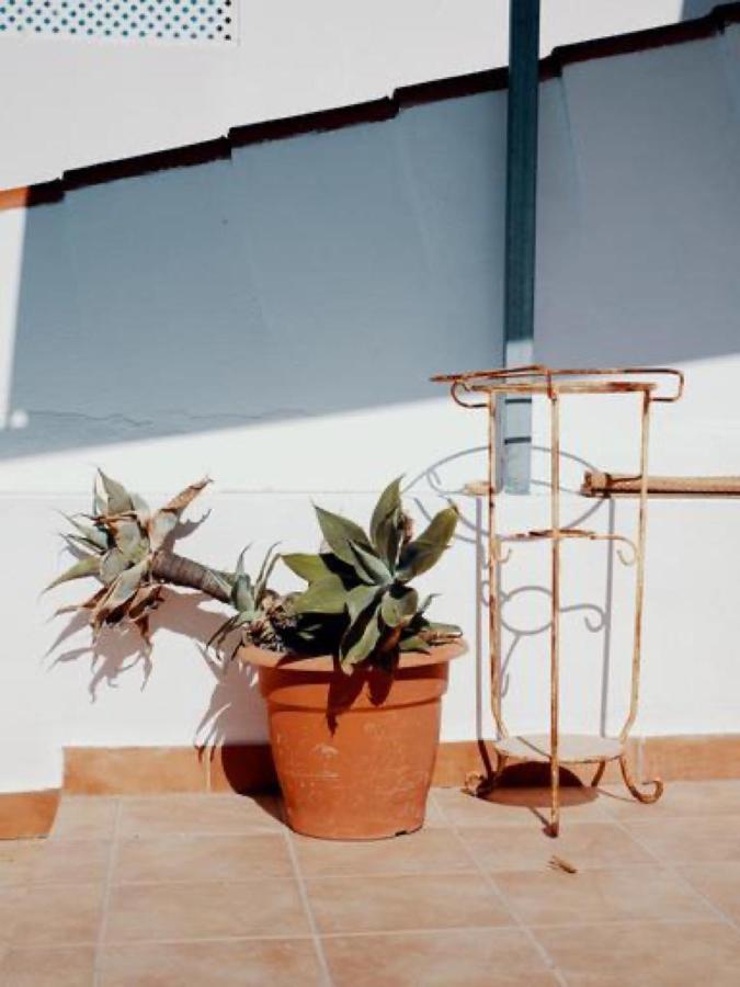 Casa Na Vila T1 フゼタ エクステリア 写真